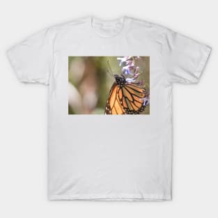 Monarchs of Mexico V T-Shirt